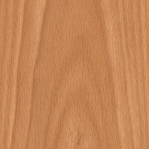 European Beech Crown Cut