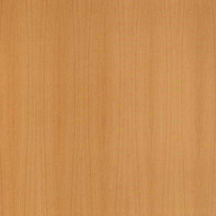 European Beech-Quarter Cut