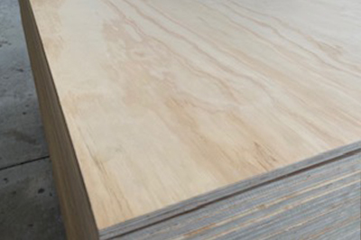 Pine Standard B/BB Non-Structural Plywood