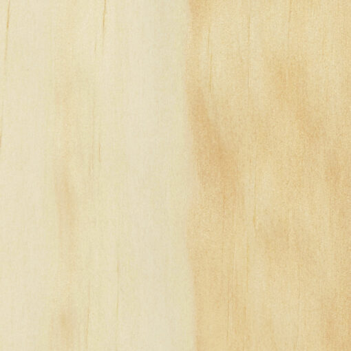 Radiata Pine-Crown Cut