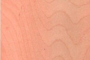 NZ Red Beech CC only