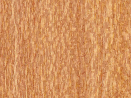 Silky Oak-Quarter Cut
