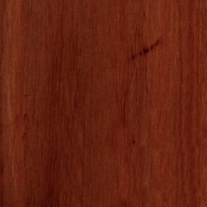 Sydney Blue Gum-Crown Cut